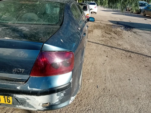 Peugeot 407 2009 407