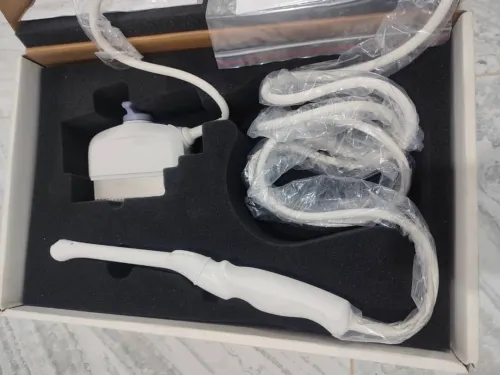 Sonde échographie endo vaginale