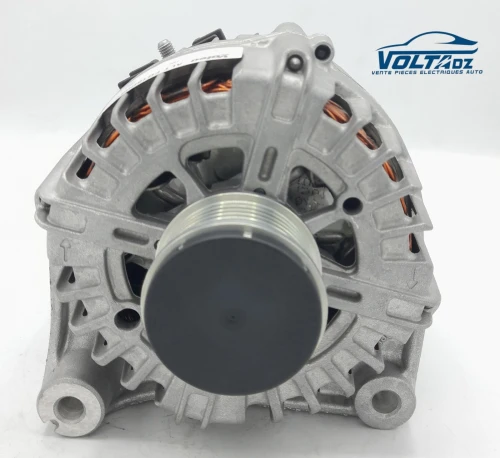 Vente tout type de démarreur et alternateur renault,peugeot,fiat,ford,skoda,vw,seat,audi,bmw 