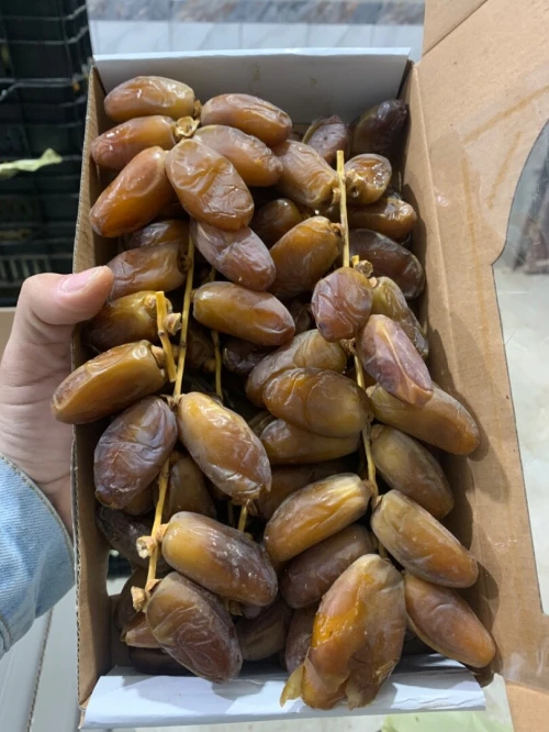تصدير التمور الجزائرية 
