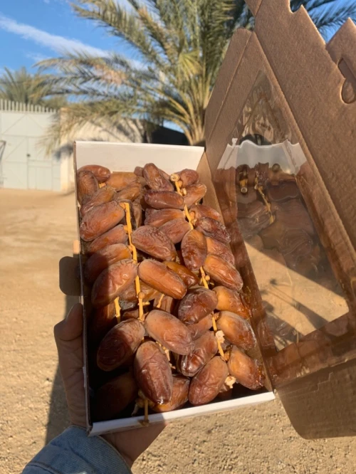 تصدير التمور الجزائرية 