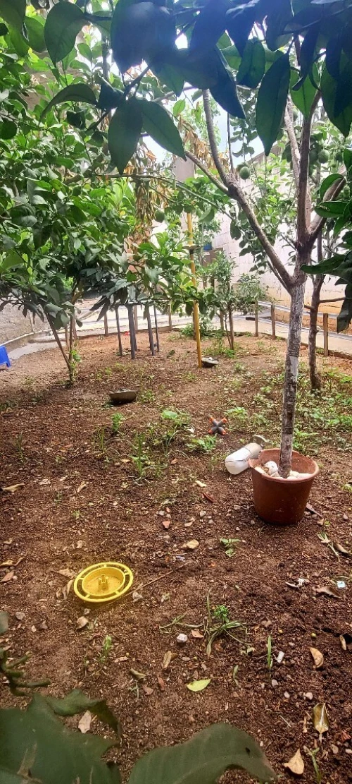Vente Villa Boumerdès Corso