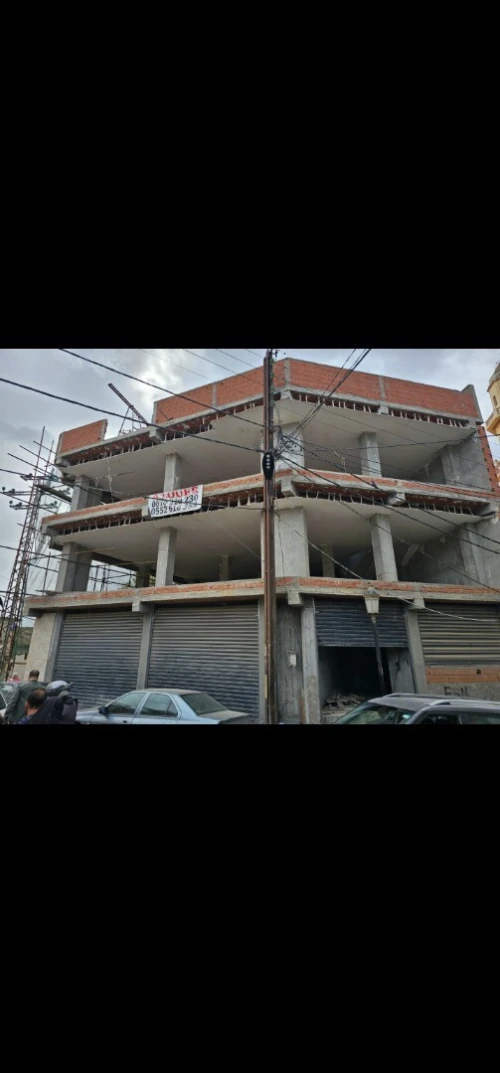 Location Local Tipaza Kolea