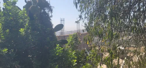 Vente Terrain Blida Meftah