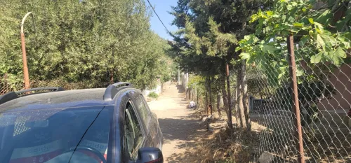 Vente Terrain Blida Meftah