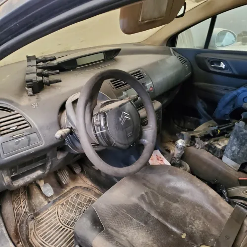 Citroen C4 2007 Vitamine