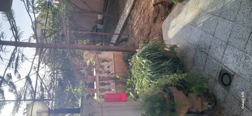 Location Appartement Niveau de villa F3 Alger Cheraga
