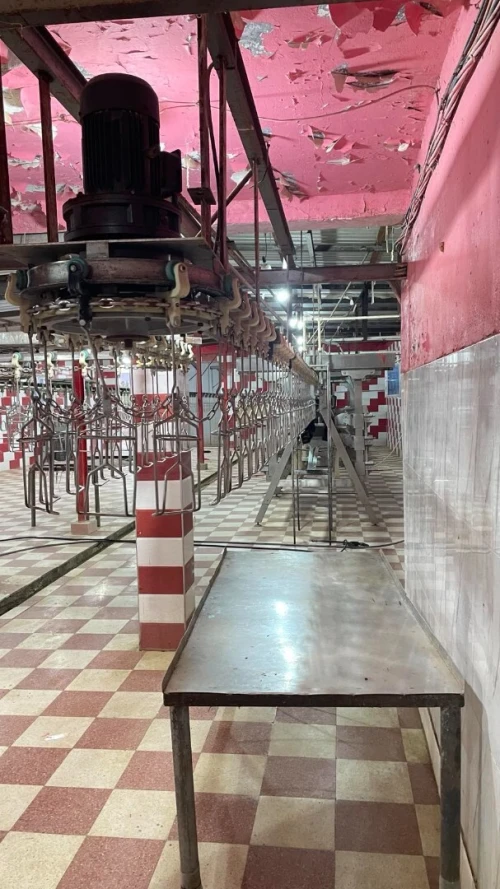 Vente Hangar - Usine Djelfa Hassi bahbah