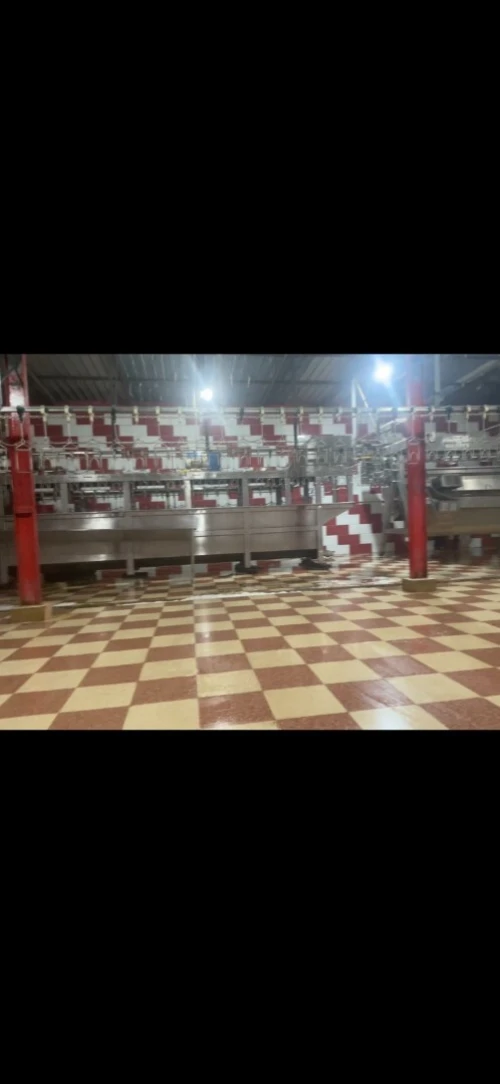 Vente Hangar - Usine Djelfa Hassi bahbah
