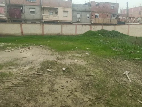 Vente Terrain Alger Tessala el merdja
