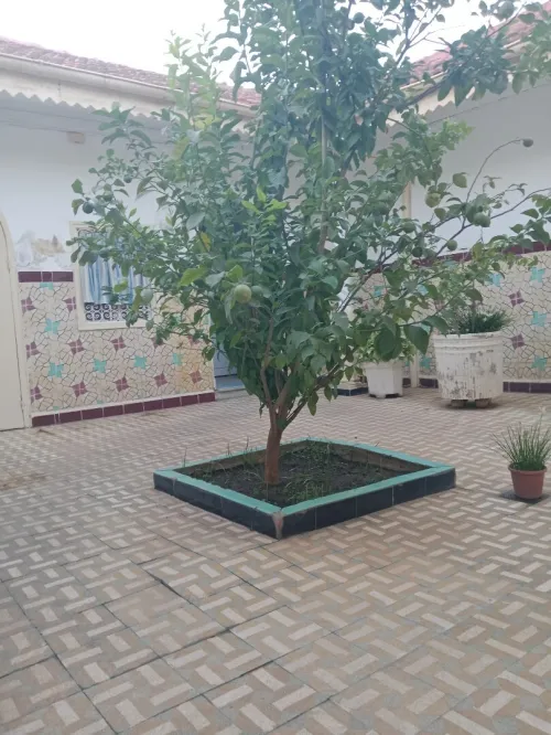 Vente Villa Blida Blida