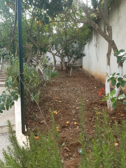 Vente Villa Alger El biar