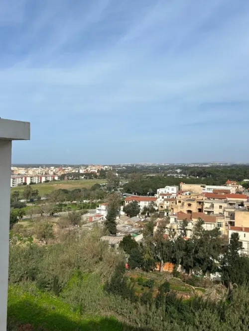 Vente Appartement F3 Alger Zeralda