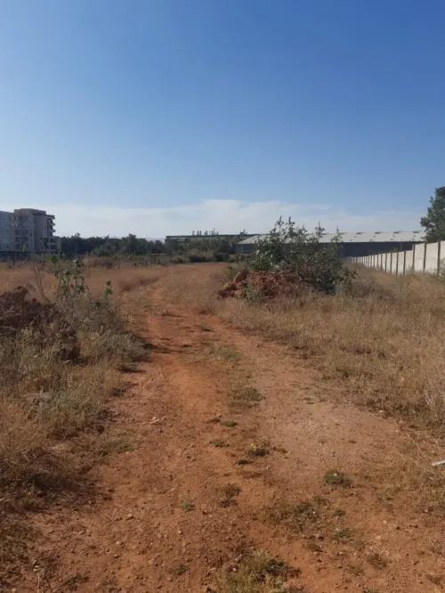 Vente Terrain Tipaza Bou ismail