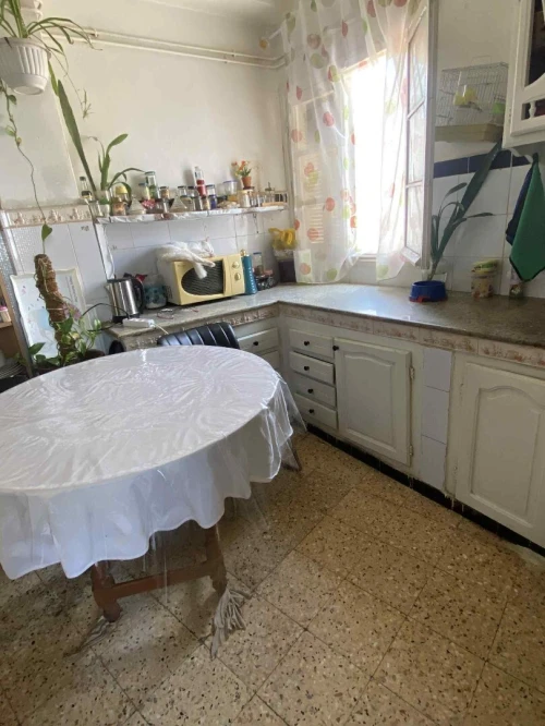 Vente Appartement F4 Aïn Témouchent Ain temouchent