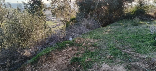 Vente Terrain Boumerdès Zemmouri