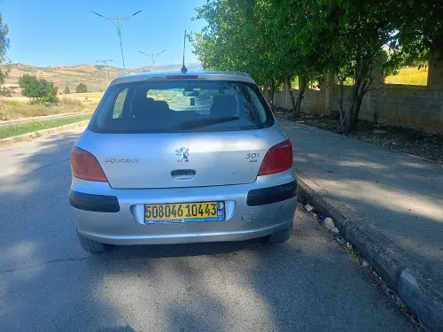Peugeot 307 2004 XT