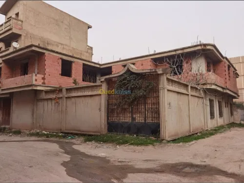 Vente Terrain Blida Chiffa