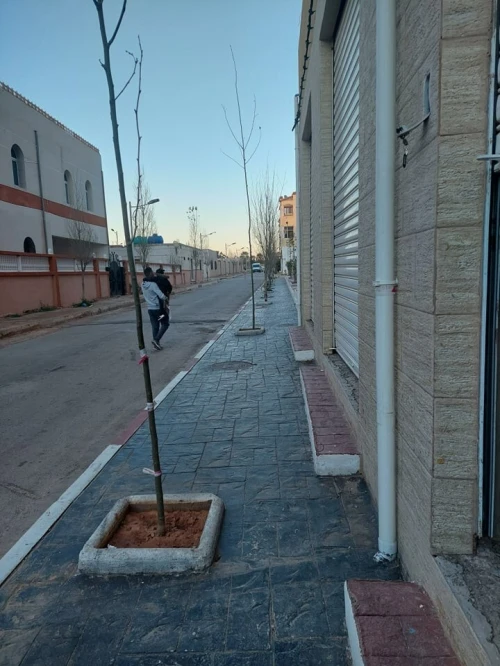 Location Local Oran Gdyel