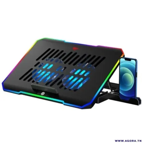 Refroidisseur Professional Pour Laptop Jusqu'À 17" HV-F2069 HAVIT