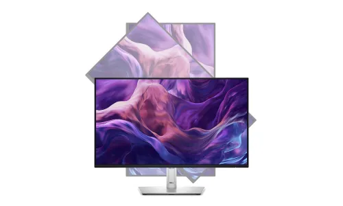 Ecran Dell P2425H 24 FHD avec 100Hz/dalle IPS 16:9ème/5ms/HDMI/DisplayPort/VGA/HUB USB/