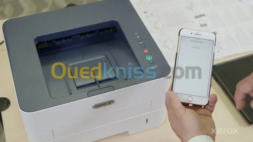 Imprimante monochrome laser Xerox B210 DNI  réseau recto-verso et Wifi