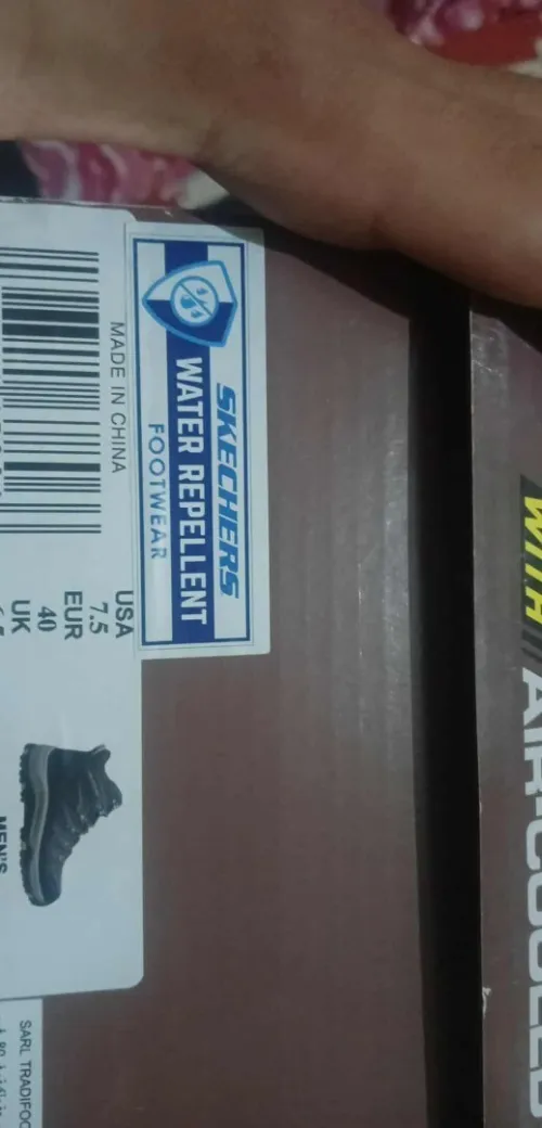 Basket Skechers