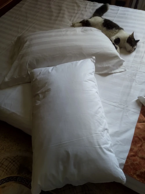 Couette serviettes oreiller serviette drap couvre couettes oreillers (premium)  منشفة غطاء وسادة