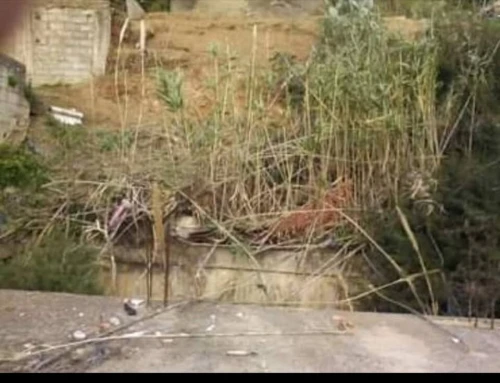 Vente Terrain Alger Bouzareah