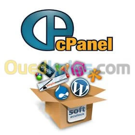 Hébergement de site web professionnel