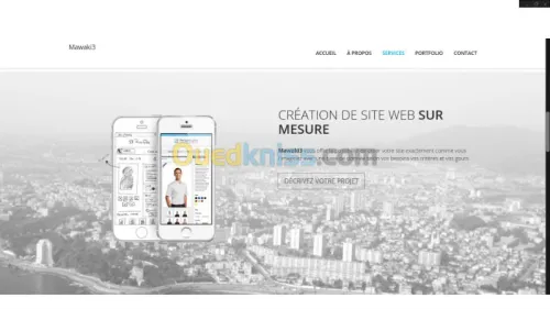Developpement d'application web (site)
