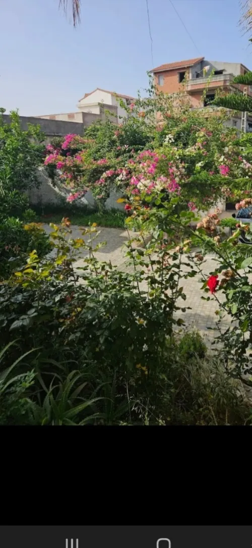 Location vacances Alger El achour