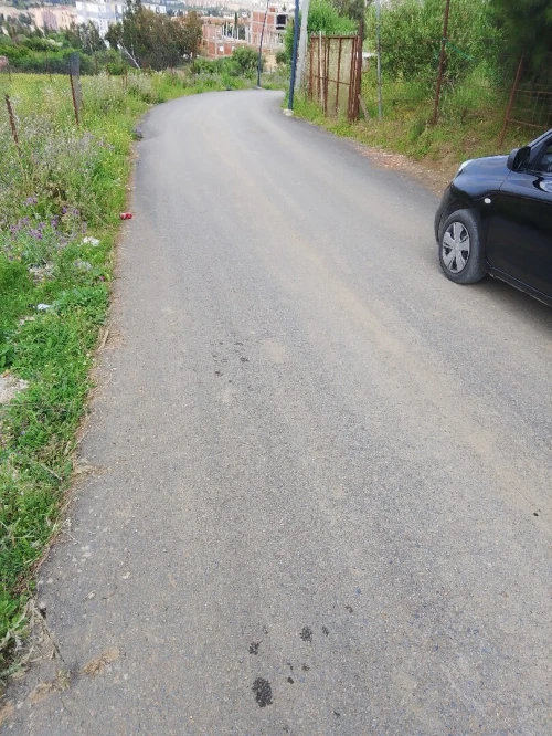 Vente Terrain Blida Ouled yaich