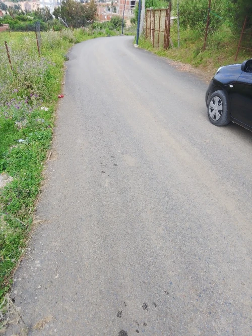 Vente Terrain Blida Ouled yaich