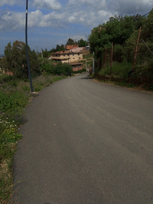 Vente Terrain Blida Ouled yaich