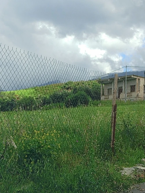 Vente Terrain Blida Ouled yaich