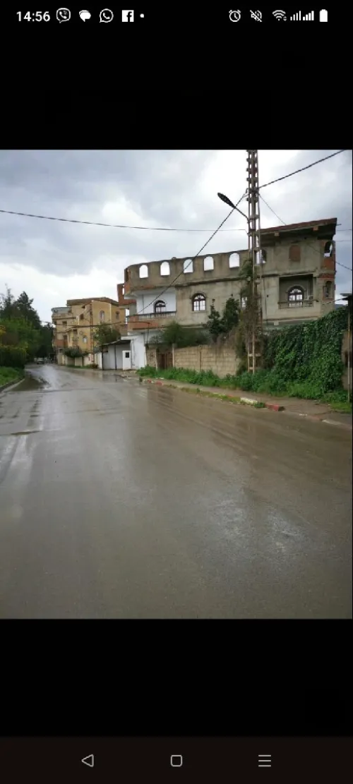 Vente Terrain Agricole Blida Bouinan