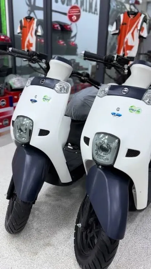 Vms Cuxi 2025