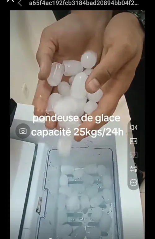 Pondeuse de glace