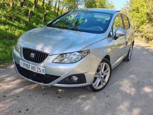 Seat Ibiza 2010 Loca