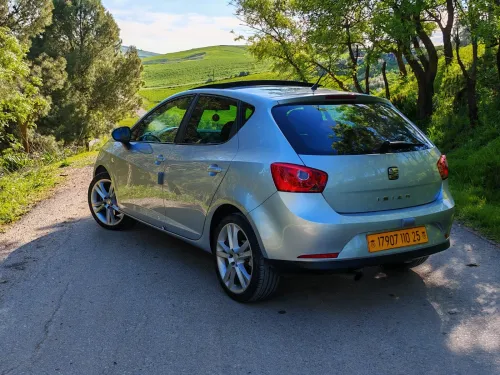 Seat Ibiza 2010 Loca
