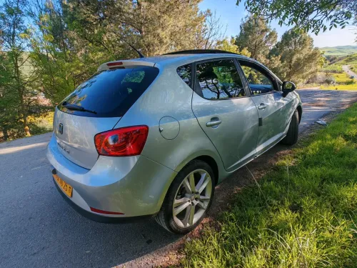Seat Ibiza 2010 Loca