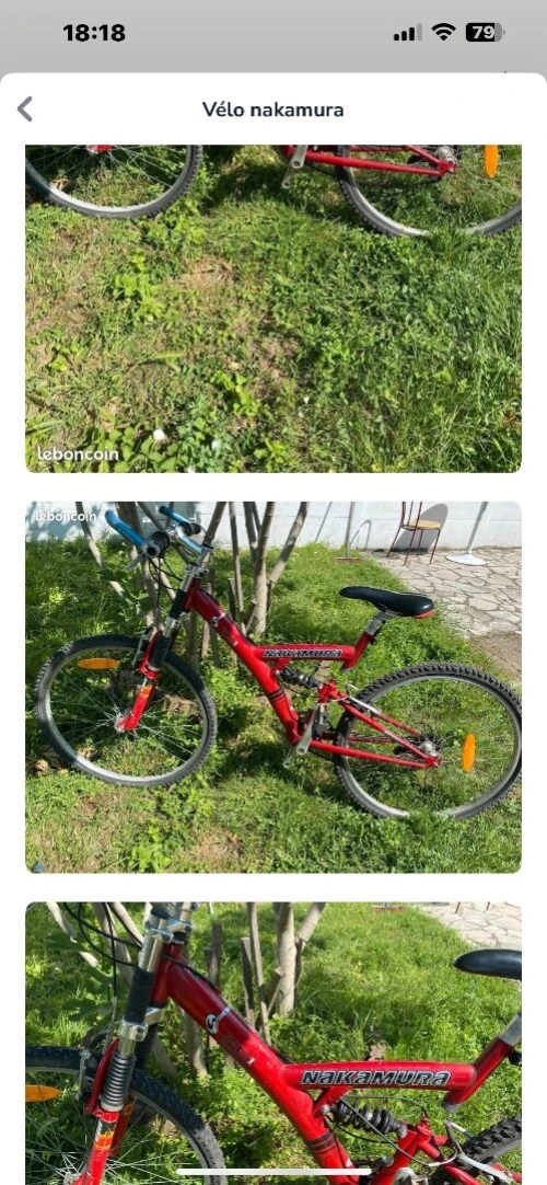 VÉLO adulte