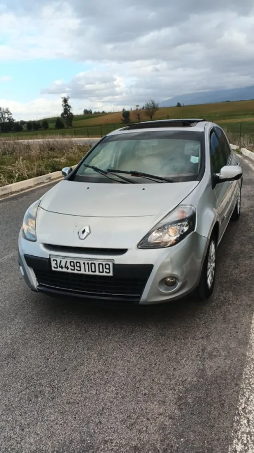 Renault Clio 3 2010 night and day