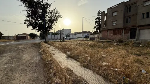 Vente Terrain Oran Boufatis