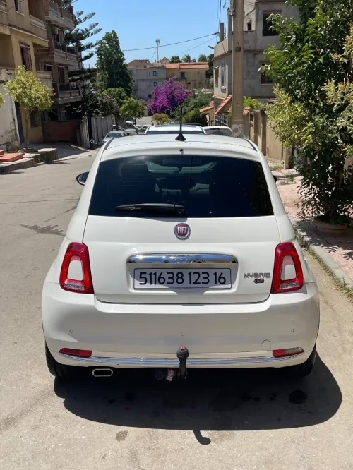 Fiat 500 2023 Dolcevita plus 
