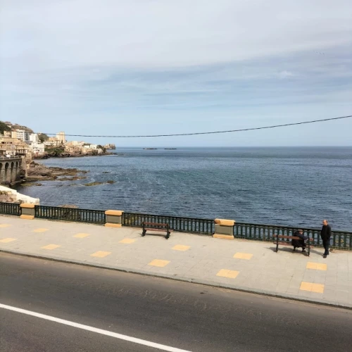 Location Local Alger Bologhine