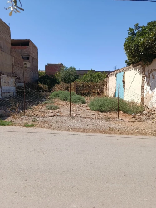 Vente Terrain Mostaganem Ain tadles