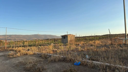Vente Terrain Tlemcen Tirni beni hediel