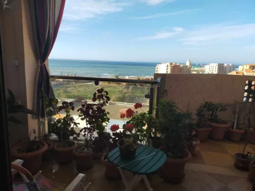 Vente Appartement Chlef Tenes